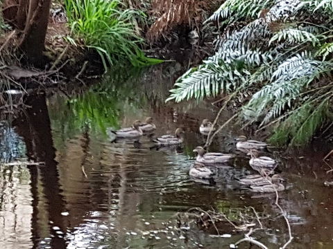 Strahan Retreat Holiday Park - Hotel Gold Coast 24