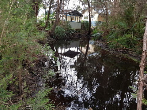 Strahan Retreat Holiday Park - Hotel Gold Coast 33