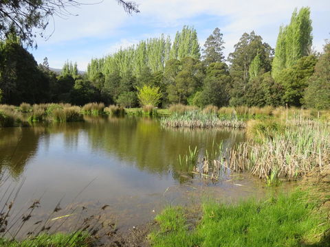 Giants Table And Cottages - Hotel Gold Coast 25