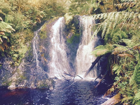 Wandering Geese Boutique Bed And Breakfast - Hotel Gold Coast 29