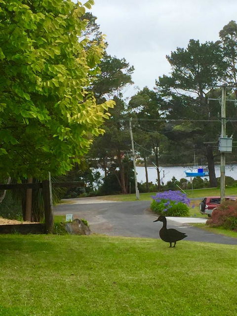 Wandering Geese Boutique Bed And Breakfast - Hotel Gold Coast 15