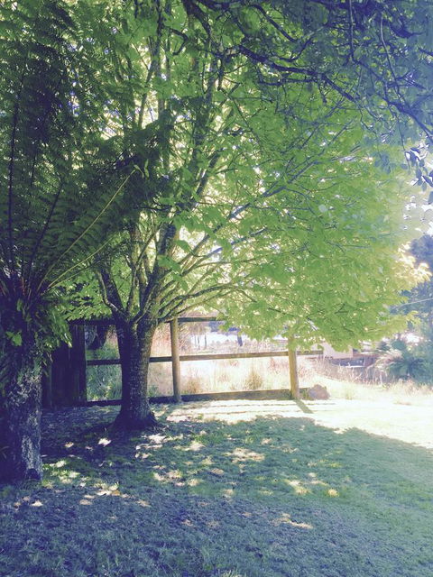 Wandering Geese Boutique Bed And Breakfast - Hotel Gold Coast 30