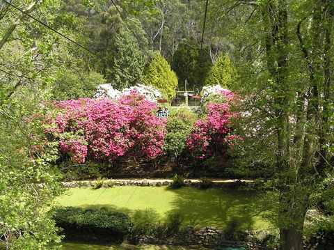 Auldington Hotel - Hotel Gold Coast 23