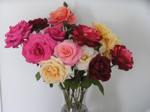 Auldington Hotel - Hotel Gold Coast 30