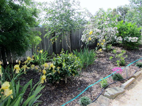 Elm Trees Accommodation @ Ross - Hotel Gold Coast 6