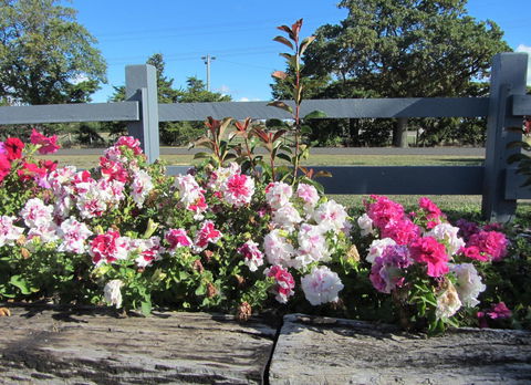 Elm Trees Accommodation @ Ross - Hotel Gold Coast 25