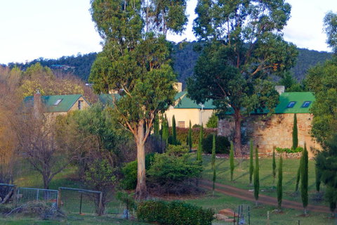 Cleburne Homestead - Hotel Gold Coast 8