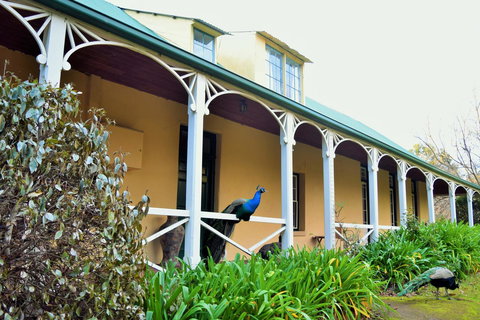 Cleburne Homestead - Hotel Gold Coast 29