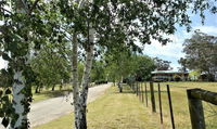 Book Nicholson Accommodation Vacations Hotel Gold Coast Hotel Gold Coast