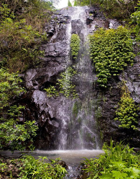 Nimbin Waterfall Retreat - Hotel Gold Coast 3