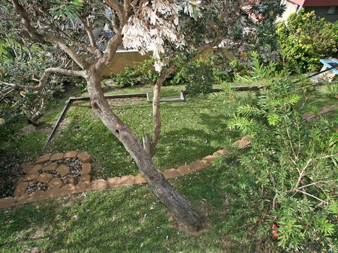 Now And Then 1/42 Clarence Street - Hotel Gold Coast 3