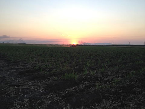 Plantation Park Motor Inn - Hotel Gold Coast 3