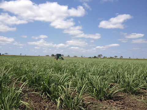 Plantation Park Motor Inn - Hotel Gold Coast 2