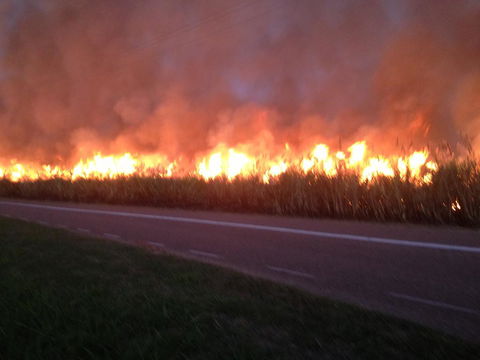 Plantation Park Motor Inn - Hotel Gold Coast 1