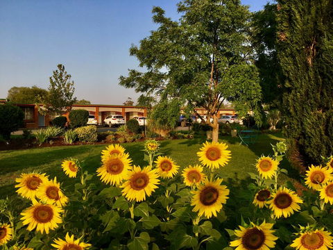 Quirindi Sunflower Motor Inn - Hotel Gold Coast 0