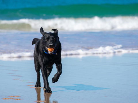 Ralph's Cottage Orion Drive Yamba - Pet Friendly Photos Available Shortly Free Wi-Fi - Hotel Gold Coast 1
