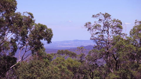 Ravensbourne Escape - Cedar Lodge - Hotel Gold Coast 0