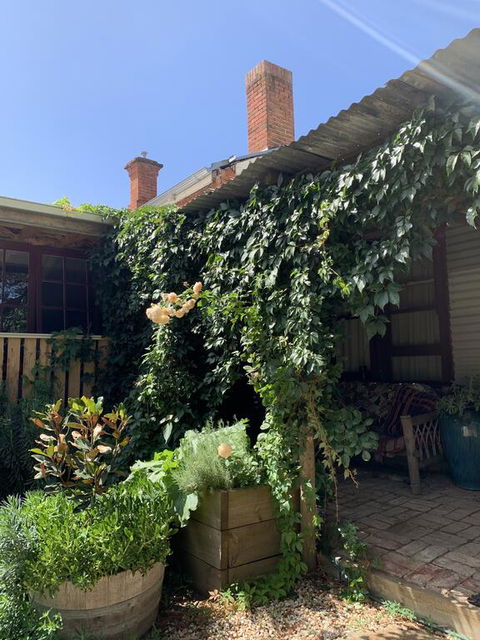 Red Hill Cottage - Hotel Gold Coast 2