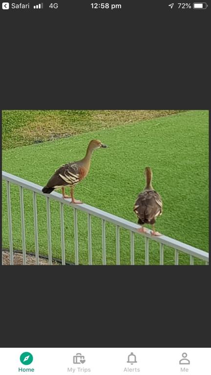 Resort Living - Hotel Gold Coast 3