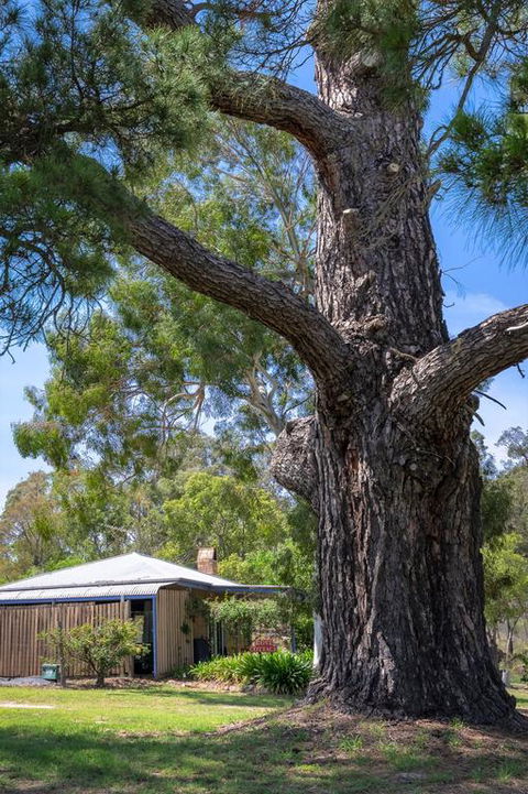 Rose Cottage - Hotel Gold Coast 3