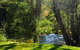 Russell Falls Holiday Cottages - thumb 2