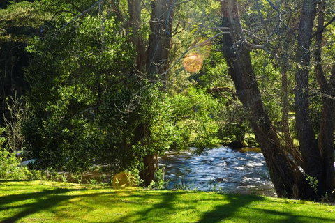 Russell Falls Holiday Cottages - Hotel Gold Coast 2