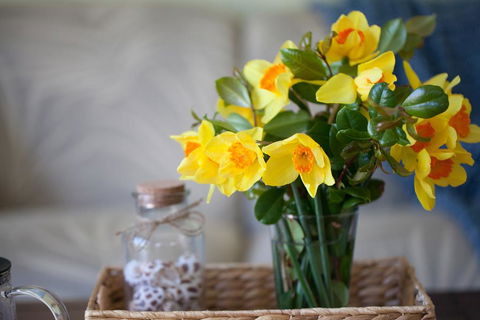 Salt Breeze - Hotel Gold Coast 3