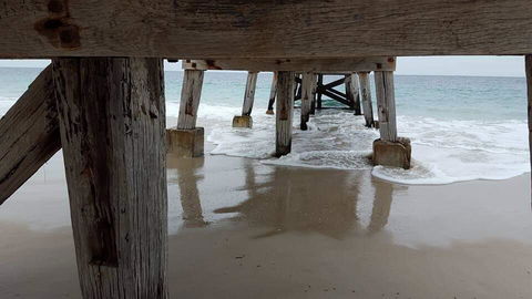 Seagrass 3 - Hotel Gold Coast 1