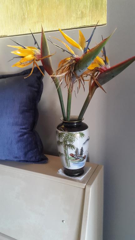 Serenity - Hotel Gold Coast 3