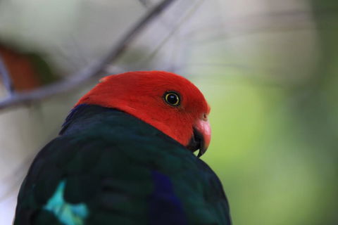 Shalimar - Hotel Gold Coast 3