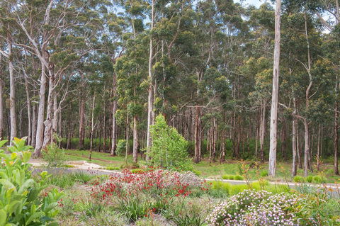 Shiraz Studio - Hotel Gold Coast 2