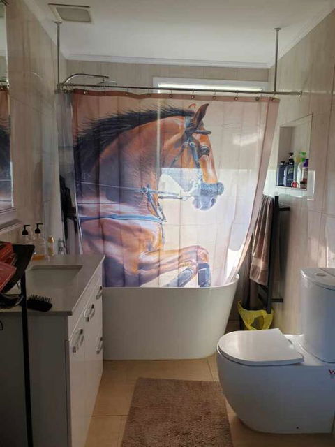 Silverbirch Cottage - Hotel Gold Coast 3