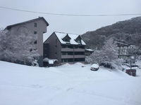 Book Falls Creek Accommodation Vacations Hotel Gold Coast Hotel Gold Coast