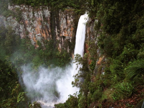 Springbrook Lyrebird Retreat - Hotel Gold Coast 2