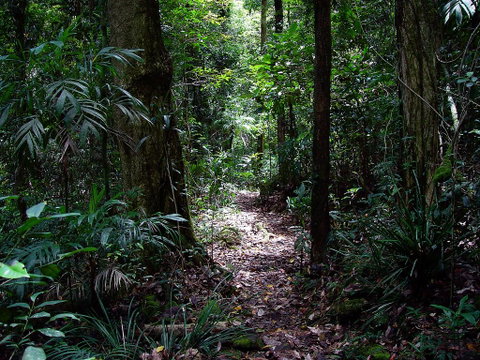 Springbrook Lyrebird Retreat - Hotel Gold Coast 0
