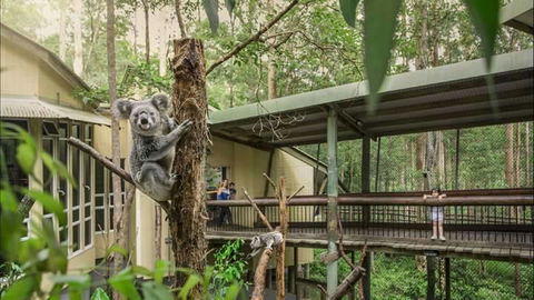 Springwood Meditation Centre - Hotel Gold Coast 0