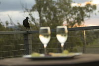Book Forest Hill Accommodation Vacations Hotel Gold Coast Hotel Gold Coast
