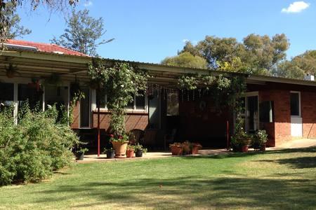 Sue's Sanctuary - Hotel Gold Coast 3