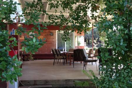 Sue's Sanctuary - Hotel Gold Coast 1