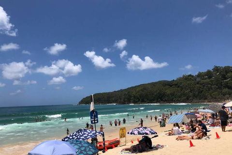 Sunshine Coast Cottage - Hotel Gold Coast 3