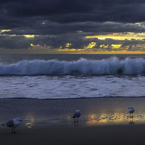 Surfers Horizons - Hotel Gold Coast 3
