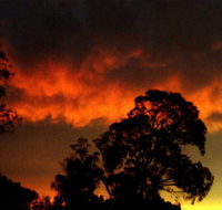 Taits Place Vineyard B  B - Hotel Gold Coast