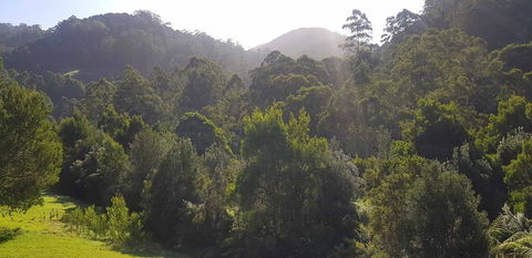 Tall Trees Retreat - Hotel Gold Coast 1