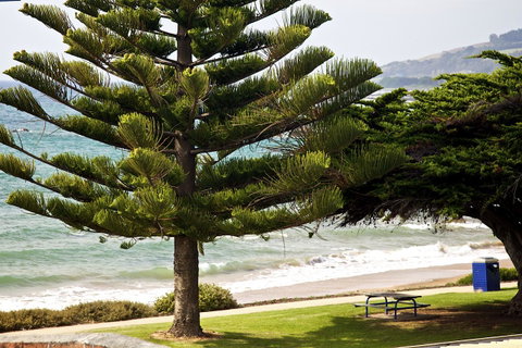 Penguin Beachfront Apartments - Hotel Gold Coast 9