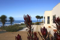 Book Falmouth Accommodation Vacations Hotel Gold Coast Hotel Gold Coast