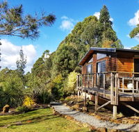 Southern Forest Accommodation - Hotel Gold Coast