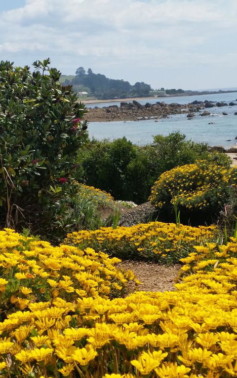 Penguin Beach House - Hotel Gold Coast 18