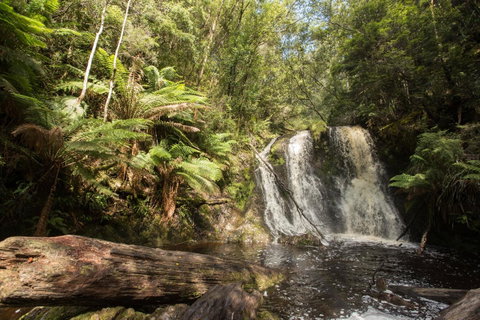 Strahan Village - Hotel Gold Coast 27
