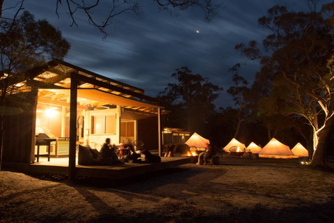 Bay Of Fires Bush Retreat - Hotel Gold Coast 0