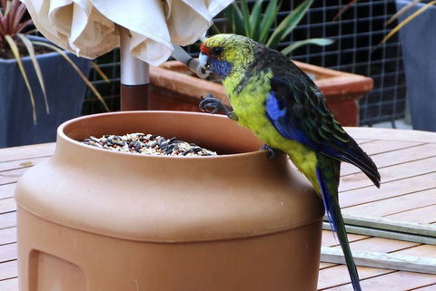 THE LOFT @ Bay Of Fires Seascape - Hotel Gold Coast 22